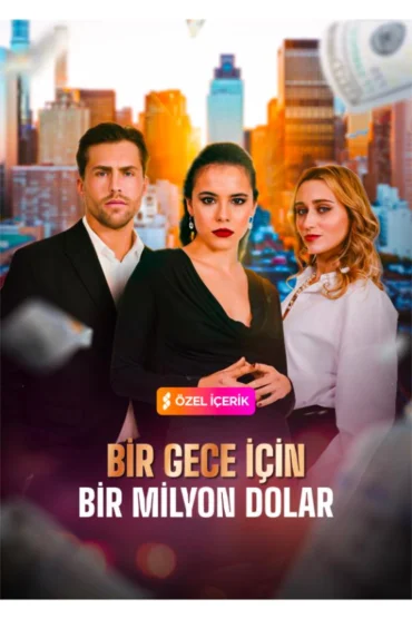BİR GECE İÇİN BİR MİLYON DOLAR