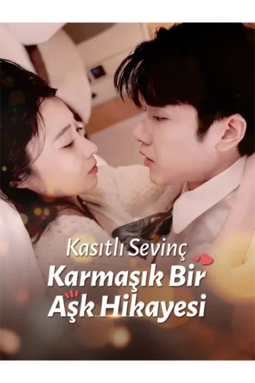 Kasıtlı Sevinç Karmaşık Bir Aşk Hikayesi