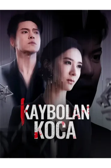 Kaybolan Koca