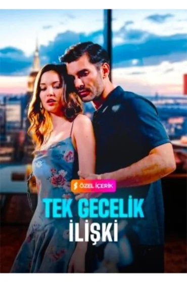 TEK GECELİK İLİŞKİ